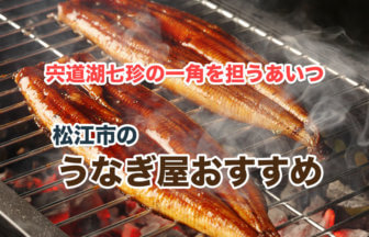 松江市の美味しいうなぎが食べられるお店５選