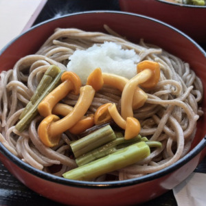 一福 松江 割子 そば なめこ