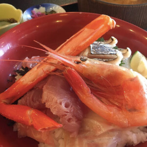 カモメ亭 松江 海鮮丼 美保関町