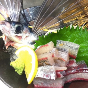 丸善水産 トビウオ 刺身 海鮮