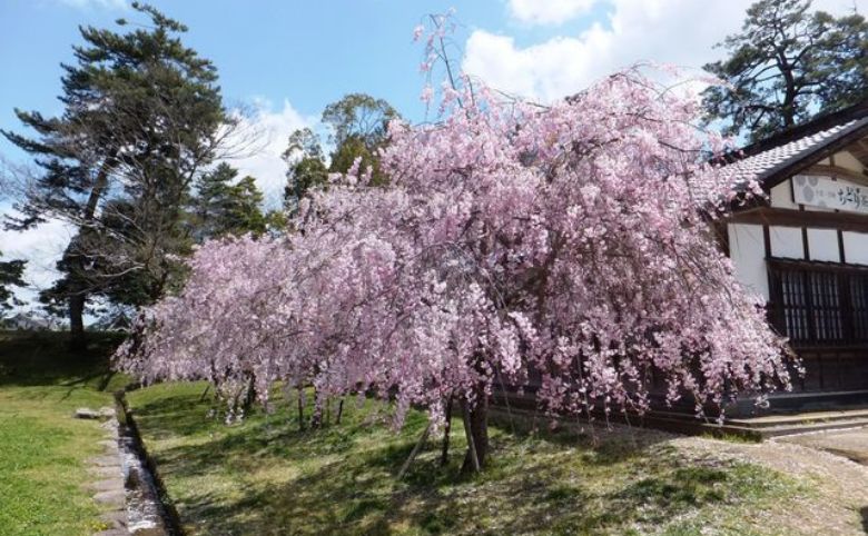 松江城山公園