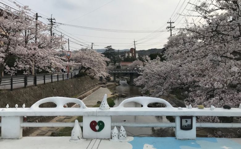 玉湯川堤桜並木