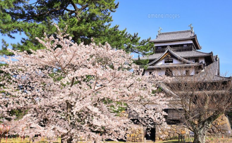 松江城山公園