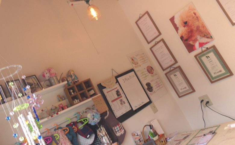 Pet Salon Rin店舗内