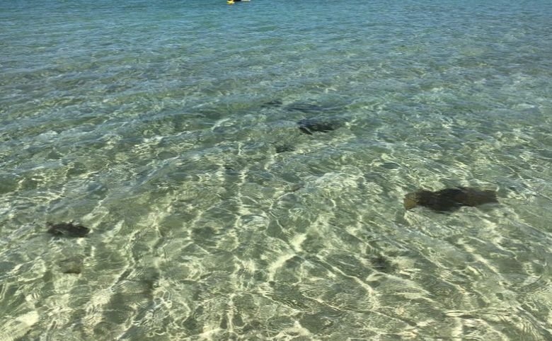 千酌海水浴場(ちくみ)