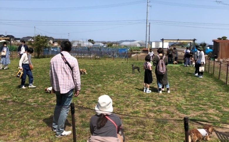 大根島ドッグラン