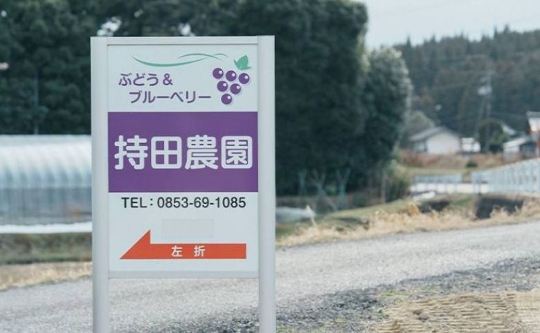 持田農園 ぶどう&ブルーベリー看板