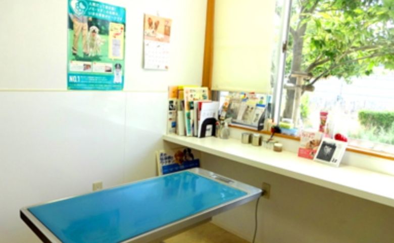 シートン動物病院
