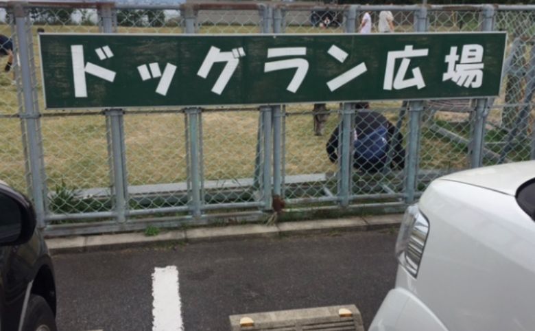 大海崎メモリアルパーク ドッグラン広場