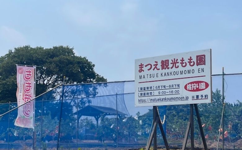 まつえ観光もも園