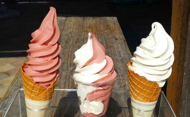 道の駅 瑞穂のあまおうソフトクリーム