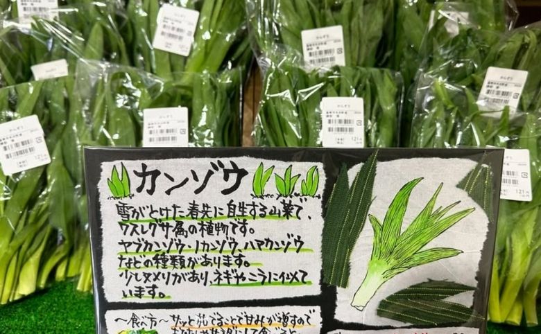 道の駅 おろちの里