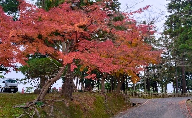 松江城山公園の紅葉