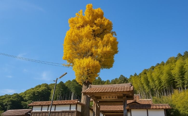 乗光寺
