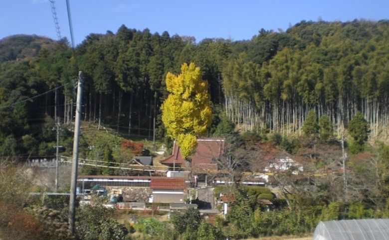 乗光寺