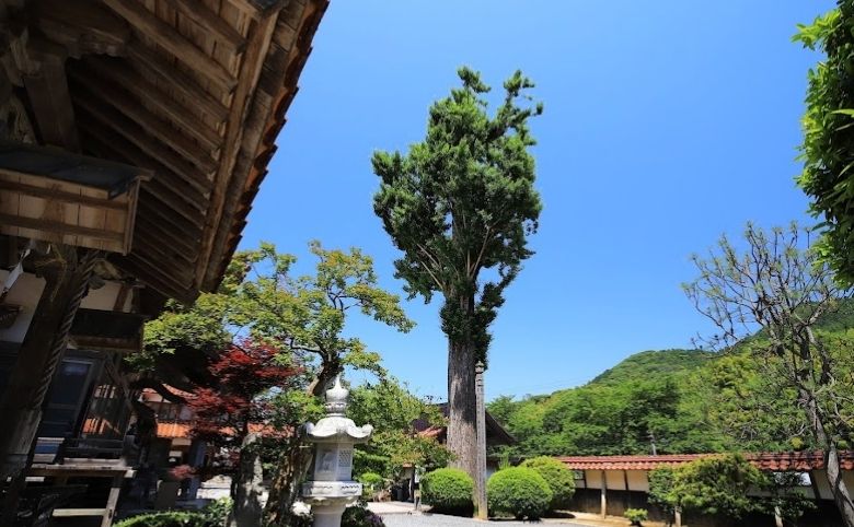 乗光寺